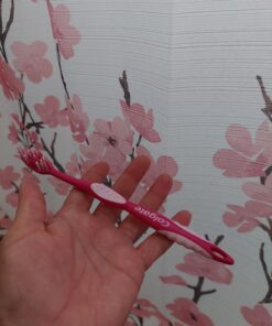 Colgate Extra Clean Toothbrush, Soft Toothbrush for Adults, 6 Count (Pack of 1), Packaging May Vary 6 Count (Pack of 1) Extra Clean Soft 40 71Tbx6S1fFL