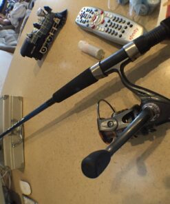 PLUSINNO HongYing Series Fishing Reels Spinning Freshwater Saltwater with 5.2:1 Gear Ratio Metal Body Left/Right Interchangeable Collapsible Handle Spinning Fishing Reel HA3000 Fishing Reel 32 71TfpCnm4pL