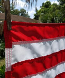 American Flag 3x5 Outdoor by Grace Alley, Embroidered Stars, Sewn Stripes, Heavy Duty, Hand Made and Fade Resistant - Long Lasting Nylon & Brass Grommets for Commercial Grade Durability, 100% Made in USA 37 71Tlrm3gQpL