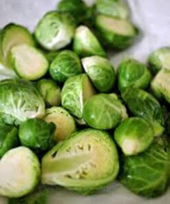 Brussel Sprouts Seed, Churchill, Heirloom, Non GMO, 25+ Seeds, Early Sprouting, COUNTRY CREEK ACRES 9 71TmCiLOS1L