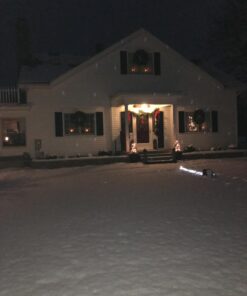 Light Flurries LED WeatherProof Falling Snowflakes Light Projector 9 71TnM2hXL