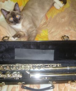 Gemeinhardt Flute (2SP) 15 71ToCkZIhjL