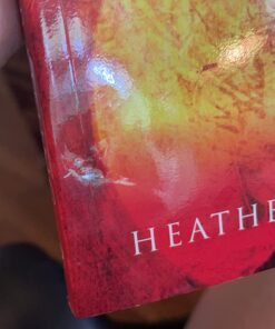 Warrior Goddess Training: Become the Woman You Are Meant to Be Paperback 13 71Tpu1YBNBL