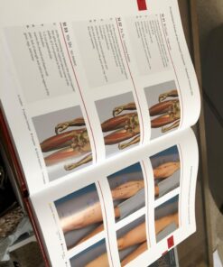 Pictorial Atlas of Acupuncture: An Illustrated Manual of Acupuncture Points 11 71TqY082qL