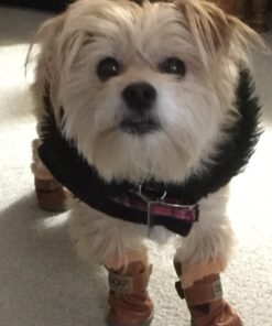 WINSOON Dog Australia Boots Pet Antiskid Shoes Winter Warm Skidproof Sneakers Paw Protectors 4-pcs Set (Size 4, Pink) Size 4 28 71Tsz2dEuL