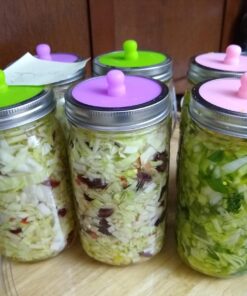 Cutting Edge Cultures Vegetable Starter Culture, 6 Pouches, 12g 0.42 Ounce 17 71TtCKYW0sL