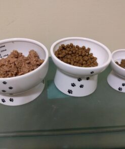 Necoichi Raised Cat Water Bowl, Elevated, with Measurement Lines, Dishwasher and Microwave Safe (Cat, Regular) 37 71TtuBhZisL