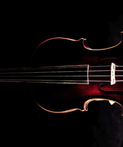 Bunnel Premier Violin Clearance Outfit 4/4 Full Size - Carrying Case and Accessories Included - Solid Maple Wood and Ebony Fittings By Kennedy Violins 4/4 (Full) 53 71TvHDnTySL