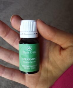 Spearmint Essential Oil 10 ml. 100% Pure Undiluted Therapeutic Grade for Aromatherapy Diffuser 19 71TxoZsYOIL