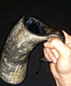 AleHorn Original Handcrafted Authentic Viking Drinking Horn Tankard for Beer Mead Ale - Genuine Medieval Inspired Stein Mug Food Safe Vessel with Handle (XL - 20oz, Durable Resin Base) XL - 20oz 34 71TxyhApjRL