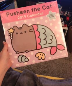 Pusheen the Cat 2019 Wall Calendar 27 71U AmfGBL 1