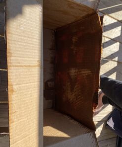 Bang Energy Purple Guava Pear, Sugar-Free Energy Drink, 16-Ounce (Pack of 12) 16 Fl Oz (Pack of 12) 36 71U ENXAx5L