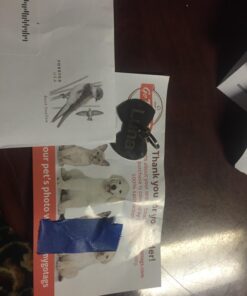 GoTags Stainless Steel Pet ID Tags, Personalized Dog Tags and Cat Tags, up to 8 Lines of Custom Text, Engraved on Both Sides, in Bone, Round, Heart, Bow Tie and More Regular (Pack of 1) 32 71U0xPCIpXL