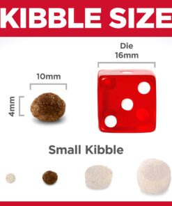 Hill's Science Diet Dry Dog Food, Puppy, Chicken Meal & Barley Recipe, 30 lb. Bag Puppy Dry 30 Pound (Pack of 1) 30 71U3JgqPDL