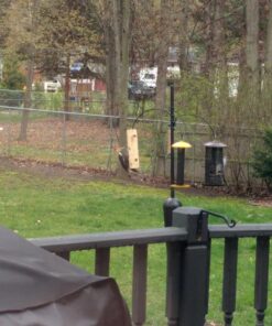 Pine Tree Farms 12 Pack of Log Jammers Hi Energy Suet 3 Refills (36 Plugs Total) 11 71U3bgQGRWL