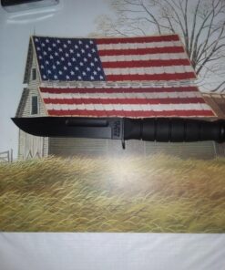 Ka-Bar Short Straight Edge Black 44 71U47AySK4L