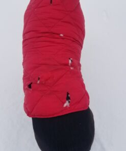 GEAR AID Tenacious Tape Gear Patches for Jacket Repair Camping Patches 34 71U7Vo7fqmL 1