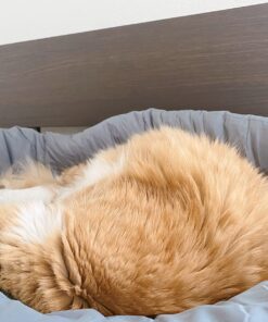 Huzi Infinity Pillow - Home Travel Soft Neck Scarf Support Sleep Grey 39 71UAZVxGOsL