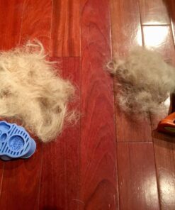 KONG - ZoomGroom - Dog Brush for Grooming and Shampooing - Blue Brush for Large Dogs Standard Packaging 30 71UEHObY5CL