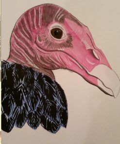 Dr. Ph. Martin's Bombay India Ink (Set 2) Ink Set, 1.0 oz, Set 2 Colors, 1 Set of 12 Bottles. 37 71UEPRqbB2L