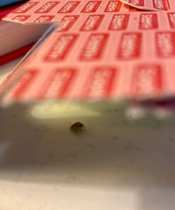 Harris Bed Bug Early Detection Glue Traps (4/Pack) 4 Traps 44 71UGuiO2rGL