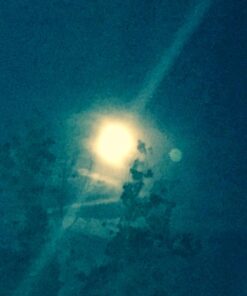 Rock Bottom to Rock Star: Lessons from the Business School of Hard Knocks 23 71UHfxjzL