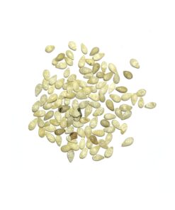 Seed Needs, Cucamelon Seeds - 65 Heirloom Seeds for Planting Melothria scobra - Mexican Sour Gherkin Non-GMO & Untreated, Boasts a Light Citrus Flavor, (2 Packs) 2 Packs (130 Seeds) 30 71UK5beuvL