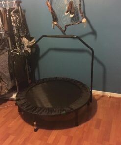 Marcy Trampoline Cardio Trainer with Handle ASG-40, Black 23 71UOEG8m0SL