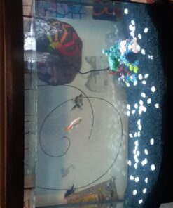 Exotic Environments Caribbean Living Reef Aquarium Ornament, Small , 7-1/2-Inch by 5-1/2-Inch by 5-1/2-Inch Small, 7.5" X 5.5" X 5.5" 13 71UQ9UjfYL