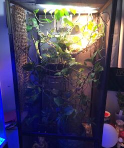 Zoo Med ReptiBreeze Open Air Screen Cage, Extra Large, 24 x 24 x 48-Inches 44 71UQt9s15jL