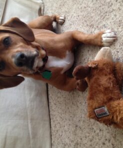 KONG Cozie Marvin Moose, Indoor Cuddle Squeaky Plush Dog Toy for Medium Dogs, Brown, 1 28 71USdxyNUpL