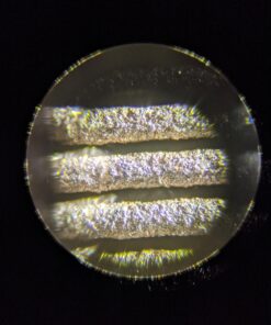 OMAX 40X-2000X LED Binocular Compound Lab Microscope w/ Double Layer Mechanical Stage + Blank Slides, Cover Slips, & Lens Cleaning Paper, M82ES-SC100-LP100 73 71UU3WA5uzL 1