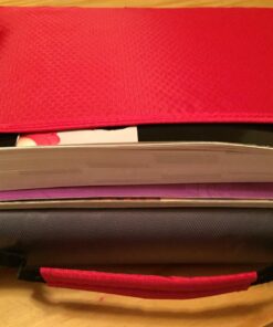 Five Star Zipper Binder, 2 Inch 3 Ring Binder, Expansion Panel, Durable, Black/Red/Gray (29052BE7) Black-red-gray 19 71UVIw2umCL