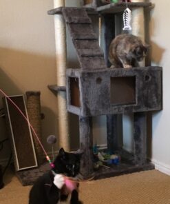 Fashion's Talk Cat Toys Variety Pack for Kitty 20 Pieces 47 71UX Ov1YSL