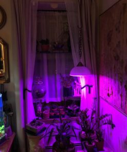 Elegant Comfort Lightweight Sheer Voile Window Scarf Valance - 216 Inch Long - 1 panel Long Sheer Curtain for Living Room, Event Decor, Bedroom, (1 Piece) 55" X 216'' Long, White 29 71UY5lMdM0L