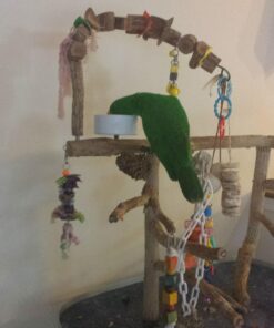 RoudyBush Daily Maintenance Bird Food, Small, 10-Pound 21 71UZgcjD6L