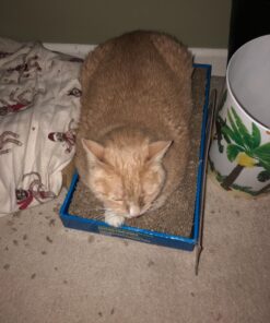 Catit Cat Scratcher, Wide Cat Board 28 71UepPkQ1cL