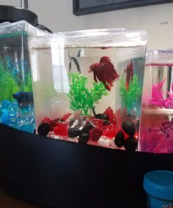 Aqueon Betta Falls 3 Section Aquarium Fish Tank With QuietFlow Power Filtration, Black 52 71UfSB9CqXL