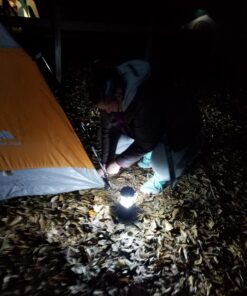 Etekcity Camping Lantern for Emergency Light Hurricane Supplies, Accessories Gear Tent Lights, Lanterns Battery Powered LED for Power Outages, Survival Kits, Operated Lamp, 4 Pack,Black 45 71UfY2c8TOL