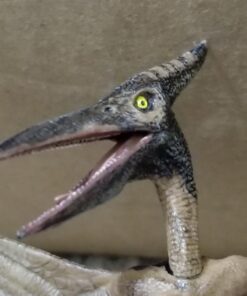 Papo The Dinosaur Figure, Pteranodon 29 71UhMFEV1TL