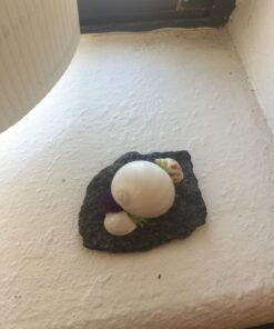 Sea Shells Mixed Beach Seashells - Various Sizes up to 2" Shells -Bag of Approx. 50 Seashells Seashells1 45 71UhvsLxJaL