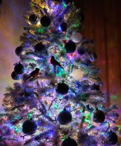 Gallerie II Cardinal Birds Clip Christmas Xmas Ornament A/2 Red 15 71UiwWWBg1L