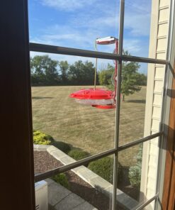 Aspects 367 Hummzinger Ultra Hummingbird Feeder, 12-Ounce,4 Feeding,Red 27 71Ujs4WDuHL