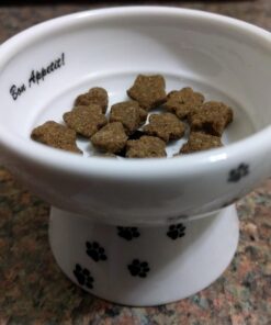 Necoichi Raised Cat Water Bowl, Elevated, with Measurement Lines, Dishwasher and Microwave Safe (Cat, Regular) 38 71UjwhEImnL