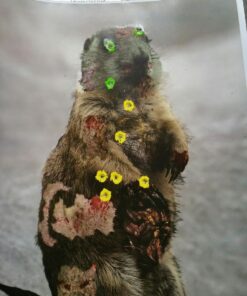 12" X 18" Hostage Targets for Shooting Featuring Photo-Realistic Designs | Bad Guy Paper Targets | Ideal for Law Enforcement Training 40 Pack Hostage 10 Of Each 26 71UkpG1fL