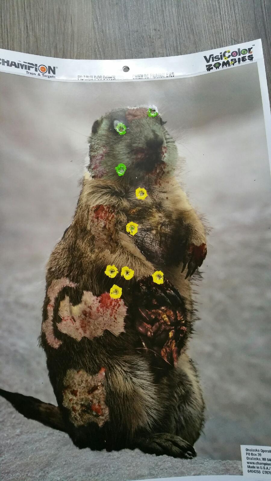 12" X 18" Hostage Targets for Shooting Featuring Photo-Realistic Designs | Bad Guy Paper Targets | Ideal for Law Enforcement Training 40 Pack Hostage 10 Of Each 9 12" X 18" Hostage Targets for Shooting Featuring Photo-Realistic Designs | Bad Guy Paper Targets | Ideal for Law Enforcement Training 40 Pack Hostage 10 Of Each - Image 9