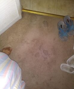 Clean-eez Stain-eez Carpet Cleaner Spray – Pro-Biotics & Enzyme Power for Ultimate Stain & Odor Elimination – Best Pet Carpet Cleaner Single Bottle 22 71UkwJOS7sL