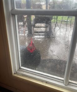 Hatortempt 5lbs Non-GMO Dried Mealworms - Premium Organic Chicken Feed, Nutritious High Protein Meal Worms- Food and Treats for Laying Hens, Wild Birds, Ducks, Reptiles, Fish, Hedgehogs, Turtles 5 Pound (Pack of 1) 42 71Uln1ZBLAL