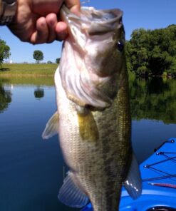 Extreme Max 3006.6548 BoatTector Complete Grapnel Anchor Kit for Small Boats, Kayaks, PWC, Jet Ski, Paddle Boards, etc. - 3.5 lbs. 3.5 lbs. - Painted/Galvanized 26 71UnMLpXWeL