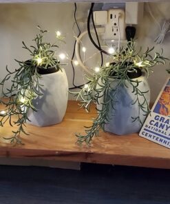 Amazon Basics 9ft 25 LED Fairy Lights, Battery Powered Outdoor String Lights for Bedroom, 2-pack (50 LEDs total), Warm White 25 LEDs, Fairy String - 2 pack 58 71UpV6Ul7rL